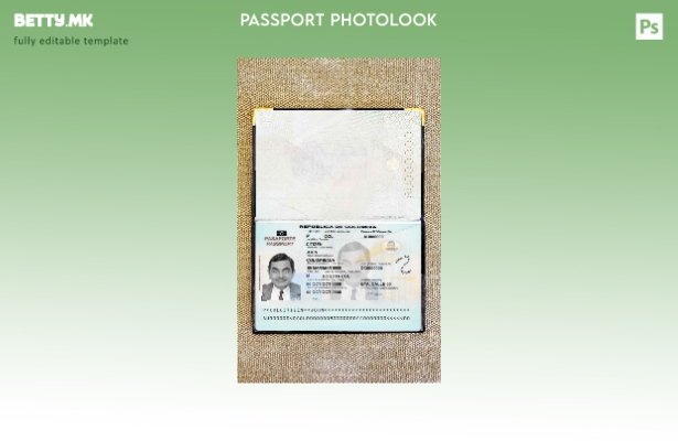 Модерен стил колумбиски пасош (сегашен) шаблон за фото изглед